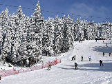 MK Mountain Resort objavio program Ski openinga na Kopaoniku